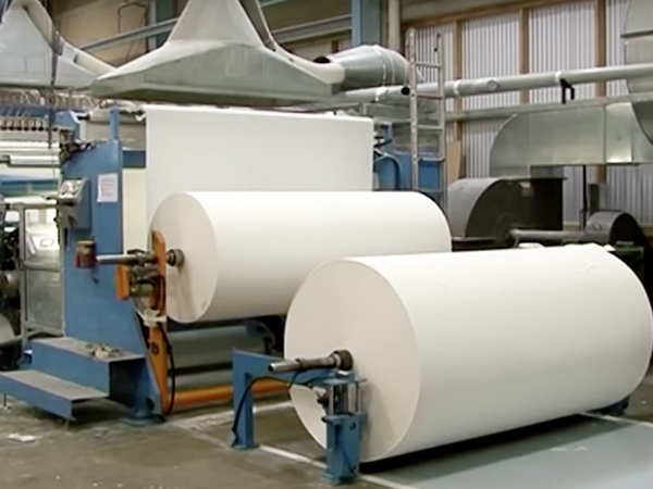 Paper & Pulp Industry